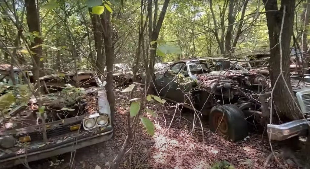 abandoned-forest-property-is-home-to-hundreds-of-classic-cars-rare-gems-included_1.jpg